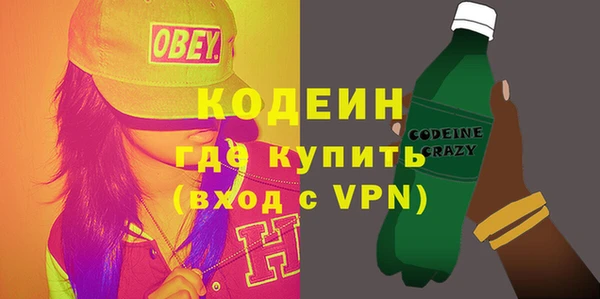 прущие грибы Балахна