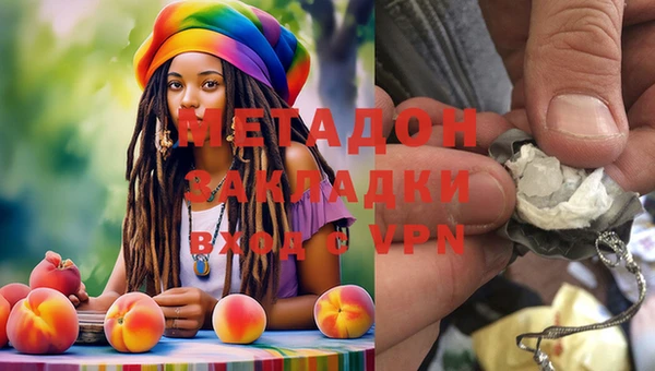 прущие грибы Балахна