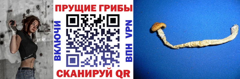 Псилоцибиновые грибы Magic Shrooms  Чулым 